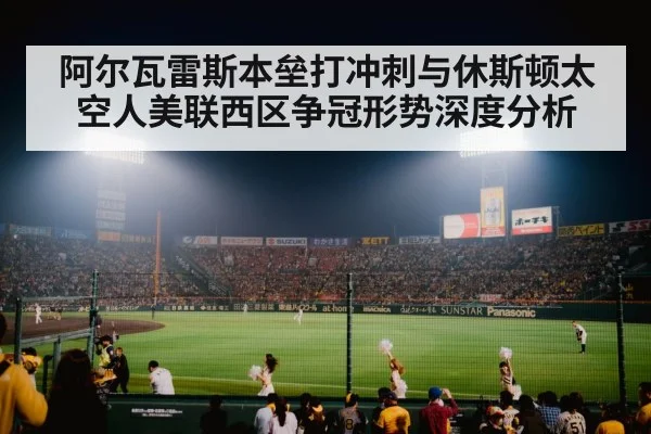baseball stadium crowd night | xingkong